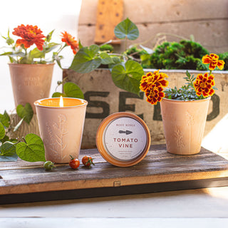Basil Orange Garden Pot Candle with Plantable Seed Paper Dust Cover