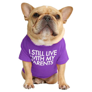 “I Still Live With My Parents” Pet T-Shirt – Soft Cotton Dog & Cat Tee
