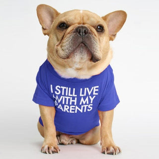 “I Still Live With My Parents” Pet T-Shirt – Soft Cotton Dog & Cat Tee