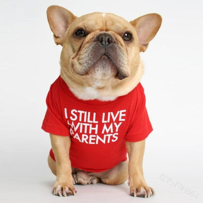 “I Still Live With My Parents” Pet T-Shirt – Soft Cotton Dog & Cat Tee