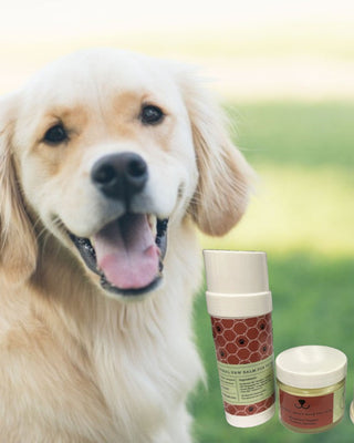 Pet Pampering Gift Box – All-Natural Pet Wellness Kit with Soothing Balms & Herbal Coat Powder