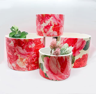 Rose Floral Ceramic Cachepots – Rose Marie & Rose Bud Styles