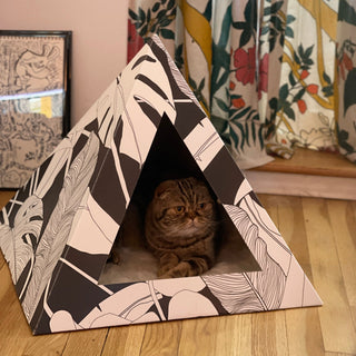 Dark Paradise Cardboard Cat Pyramid | Modern Eco-Friendly Cat Hideaway
