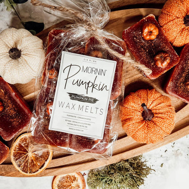 Natural XL Pumpkin Spice Wax Melts – Handcrafted Spiced Fall Fragrance (4 Cubes)