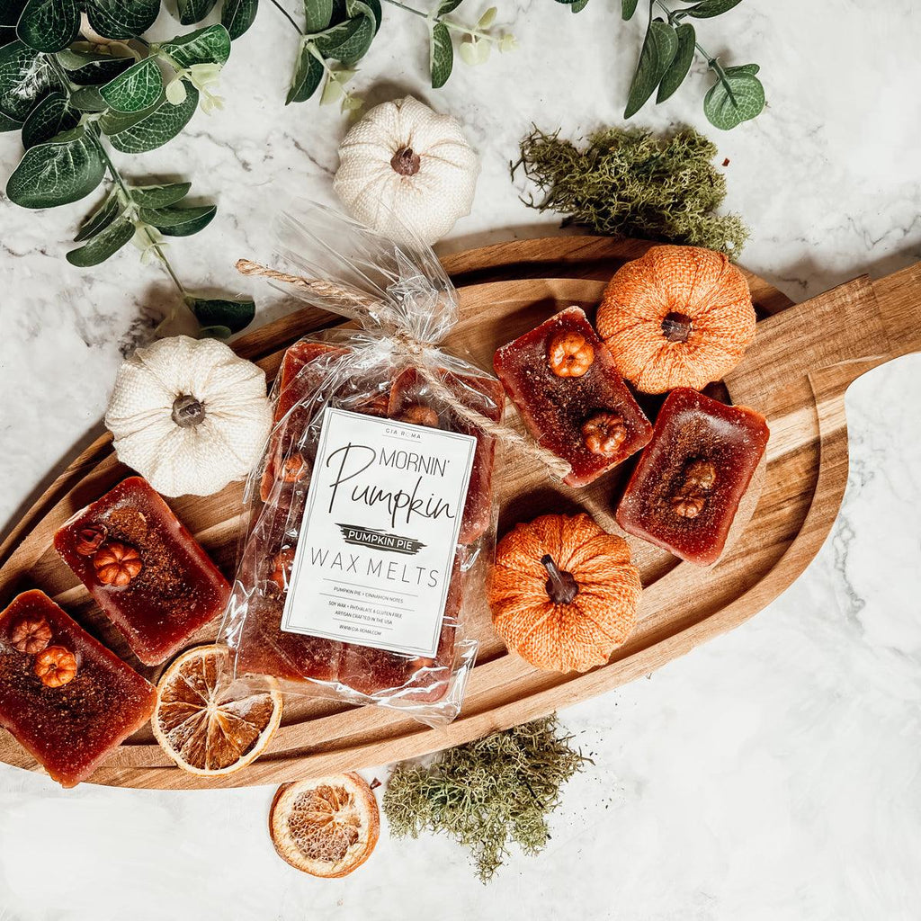 Natural XL Pumpkin Spice Wax Melts – Handcrafted Spiced Fall Fragrance (4 Cubes)