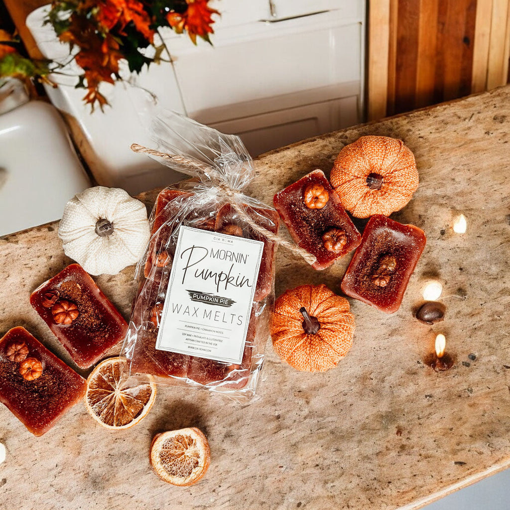 Natural XL Pumpkin Spice Wax Melts – Handcrafted Spiced Fall Fragrance (4 Cubes)