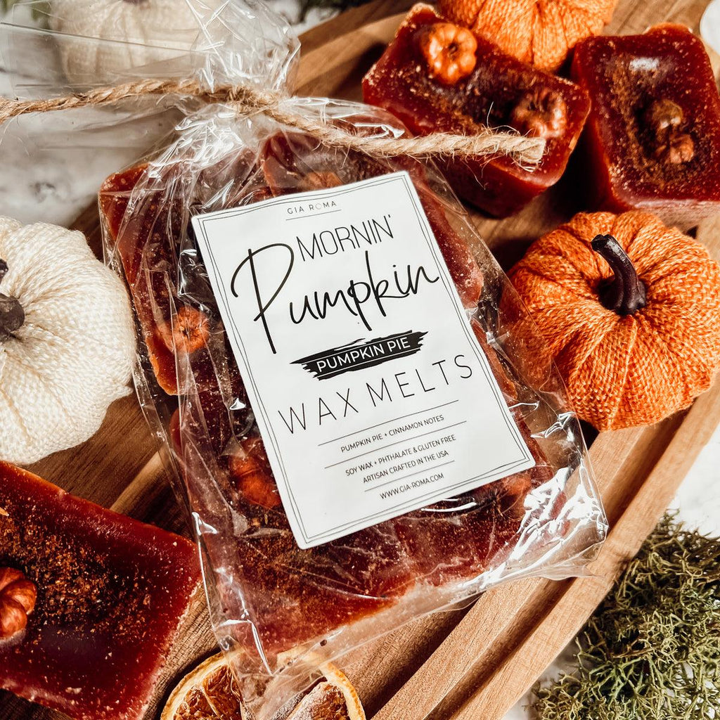 Natural XL Pumpkin Spice Wax Melts – Handcrafted Spiced Fall Fragrance (4 Cubes)