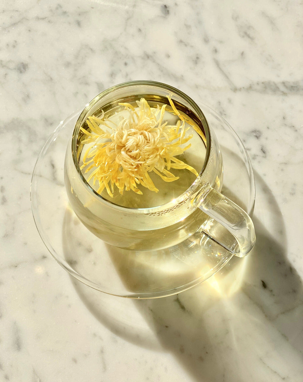 Glass Cups & Saucers Set (2) – Heat-Resistant Borosilicate Tea Cups