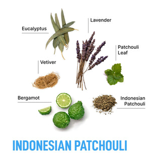Luxury Performance Laundry Detergent Pods – Concentrated Bio-Enzyme Formula