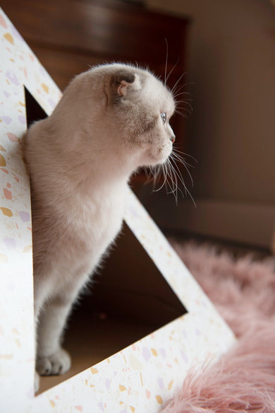 Terrazzo Cardboard Cat Pyramid | Modern Eco-Friendly Cat Hideaway