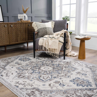 Bakir Area Rug – Stylish Neutral Washable Floor Carpet for Home