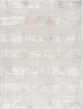 Bucky Area Rug – Contemporary Soft Washable Carpet for Home