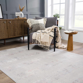 Bucky Area Rug – Contemporary Soft Washable Carpet for Home