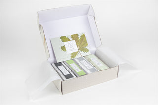 Earthy Shower Steamer Gift Box – Set of 12 Natural Shower Steamers for Men & Women