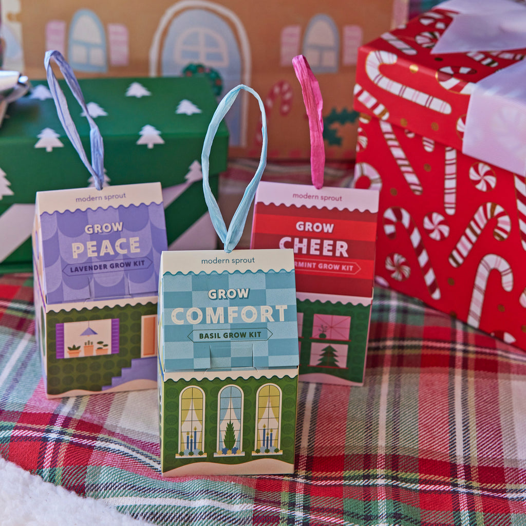 Home Grown Ornament Grow Kit