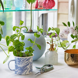 Altered Herb Mug Grow Kit