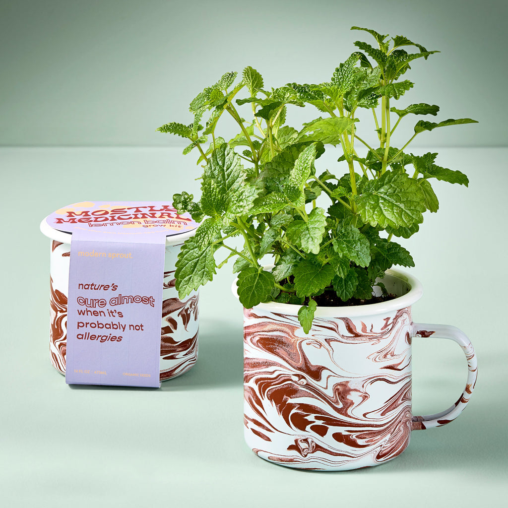 Altered Herb Mug Grow Kit