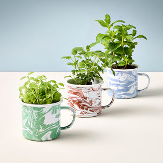 Altered Herb Mug Grow Kit