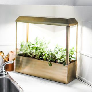 Smart Growhouse Indoor Garden