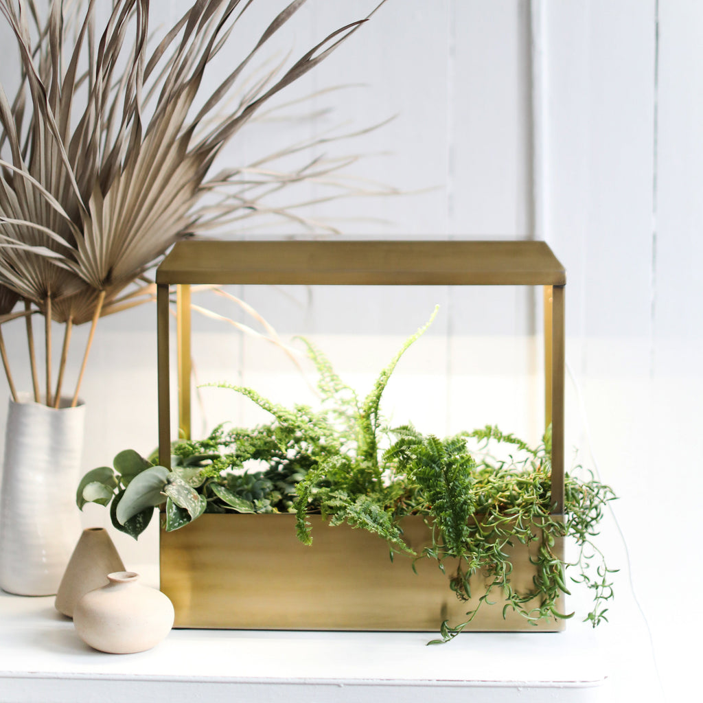 Smart Growhouse Indoor Garden