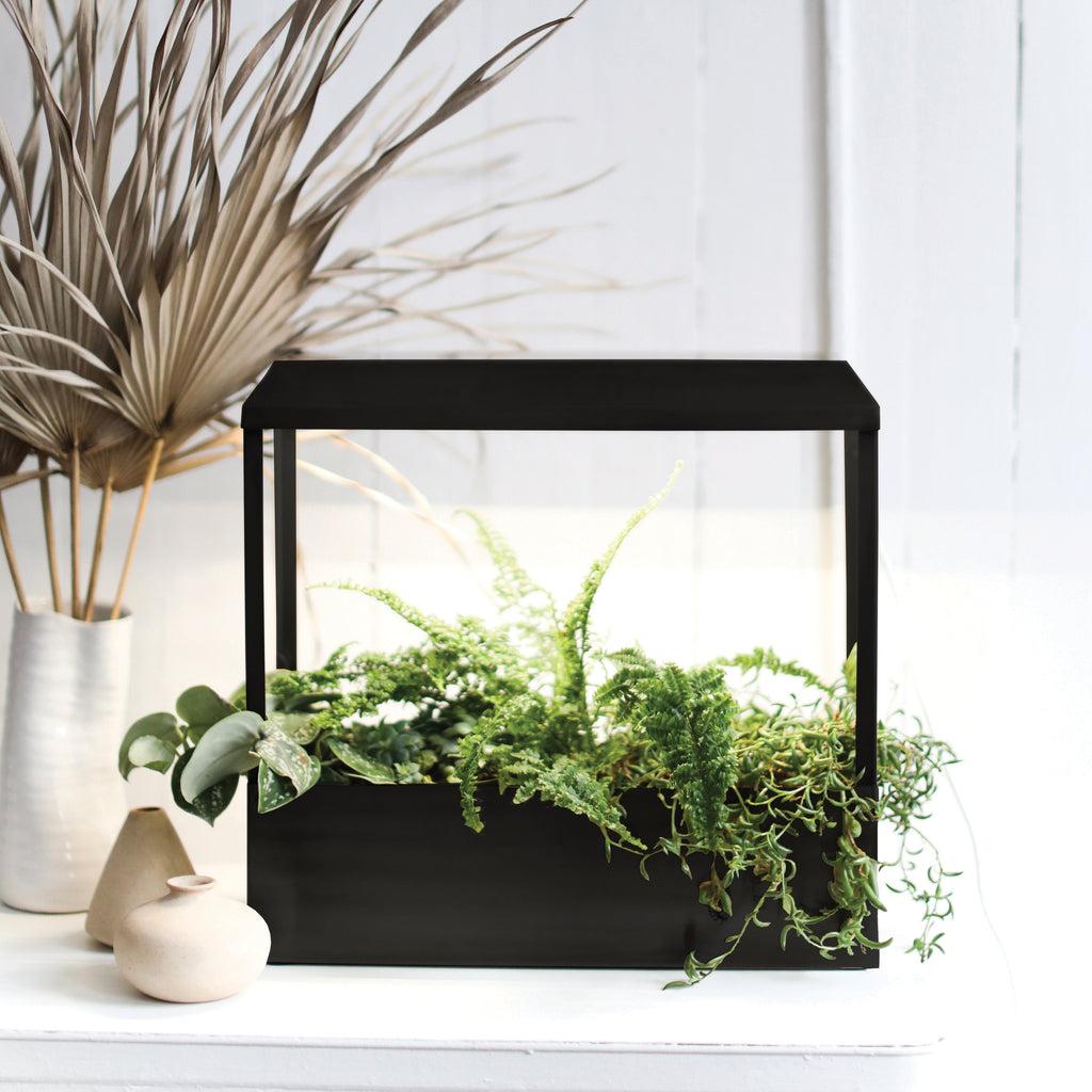 Smart Growhouse Indoor Garden