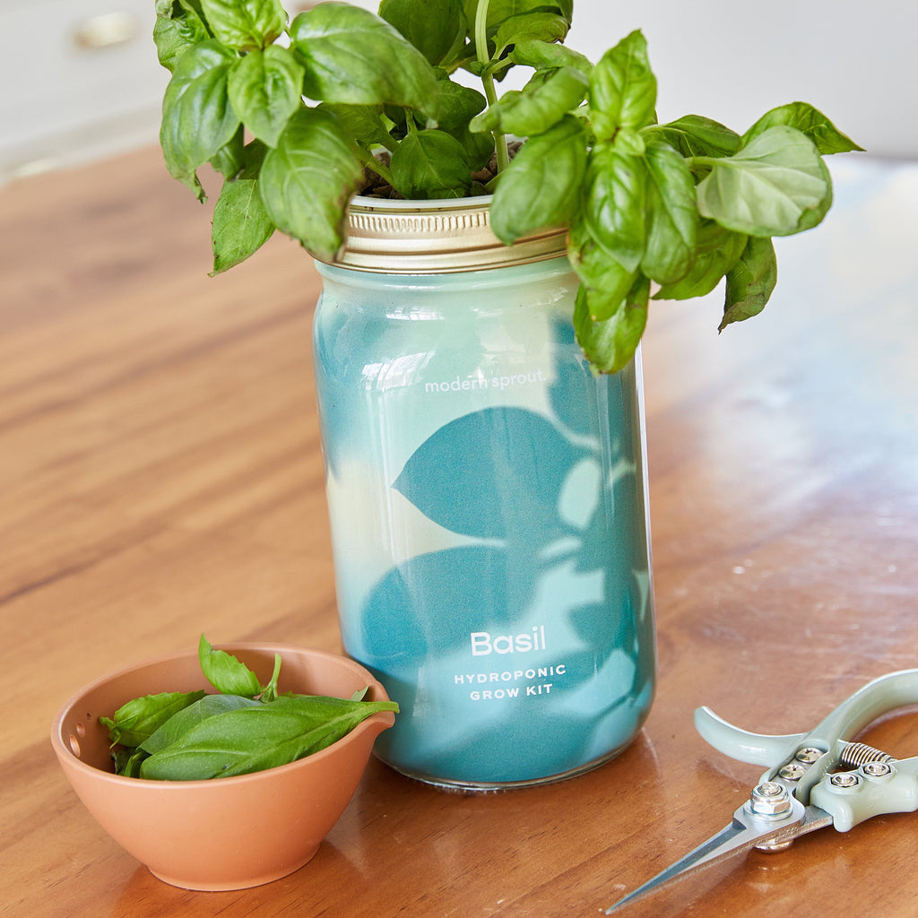Garden Jars – Organic Herb Growing Kit