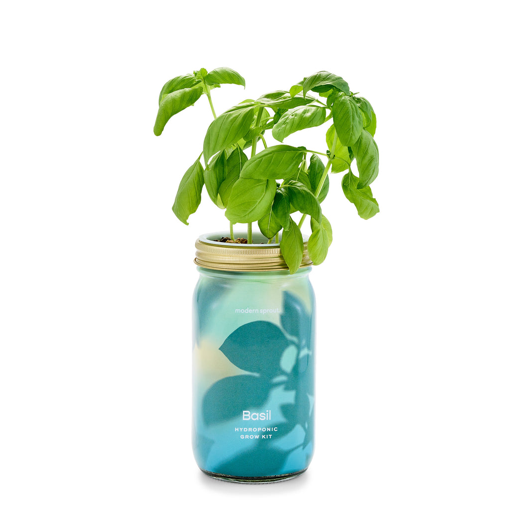 Garden Jars – Organic Herb Growing Kit
