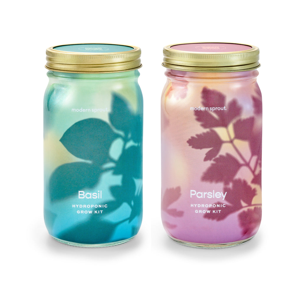 Garden Jars – Organic Herb Growing Kit