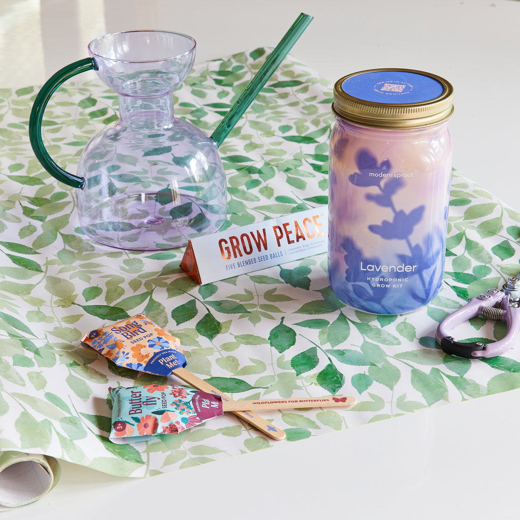 Garden Jars – Organic Herb Growing Kit