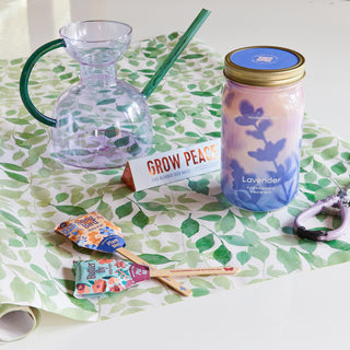 Garden Jars – Organic Herb Growing Kit