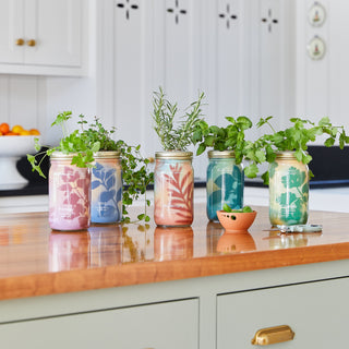 Garden Jars – Organic Herb Growing Kit