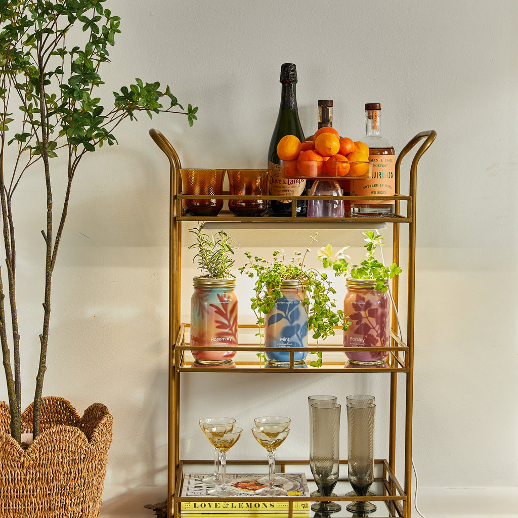 Garden Jars – Organic Herb Growing Kit