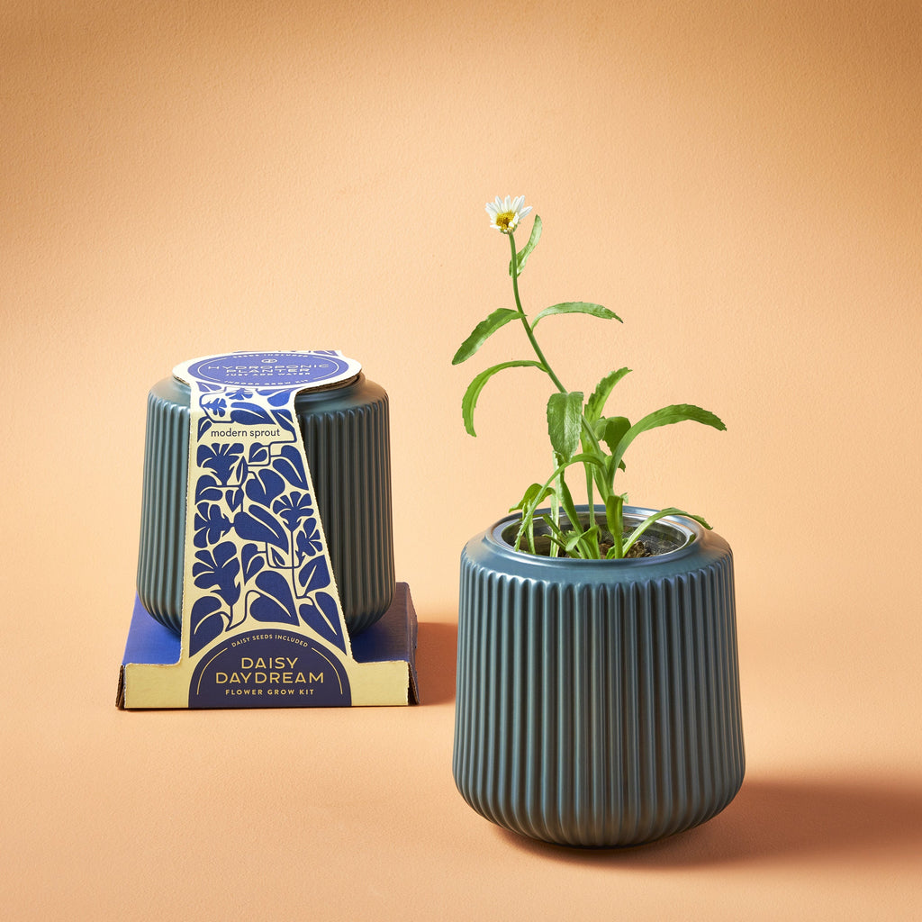 Flower Grow Kits – Fluted Ceramic Planter