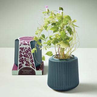 Flower Grow Kits – Fluted Ceramic Planter