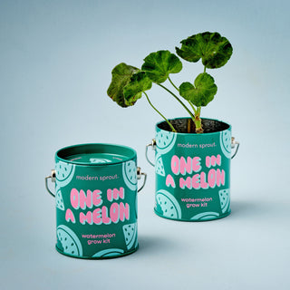 Complimentary Colors Grow Kits