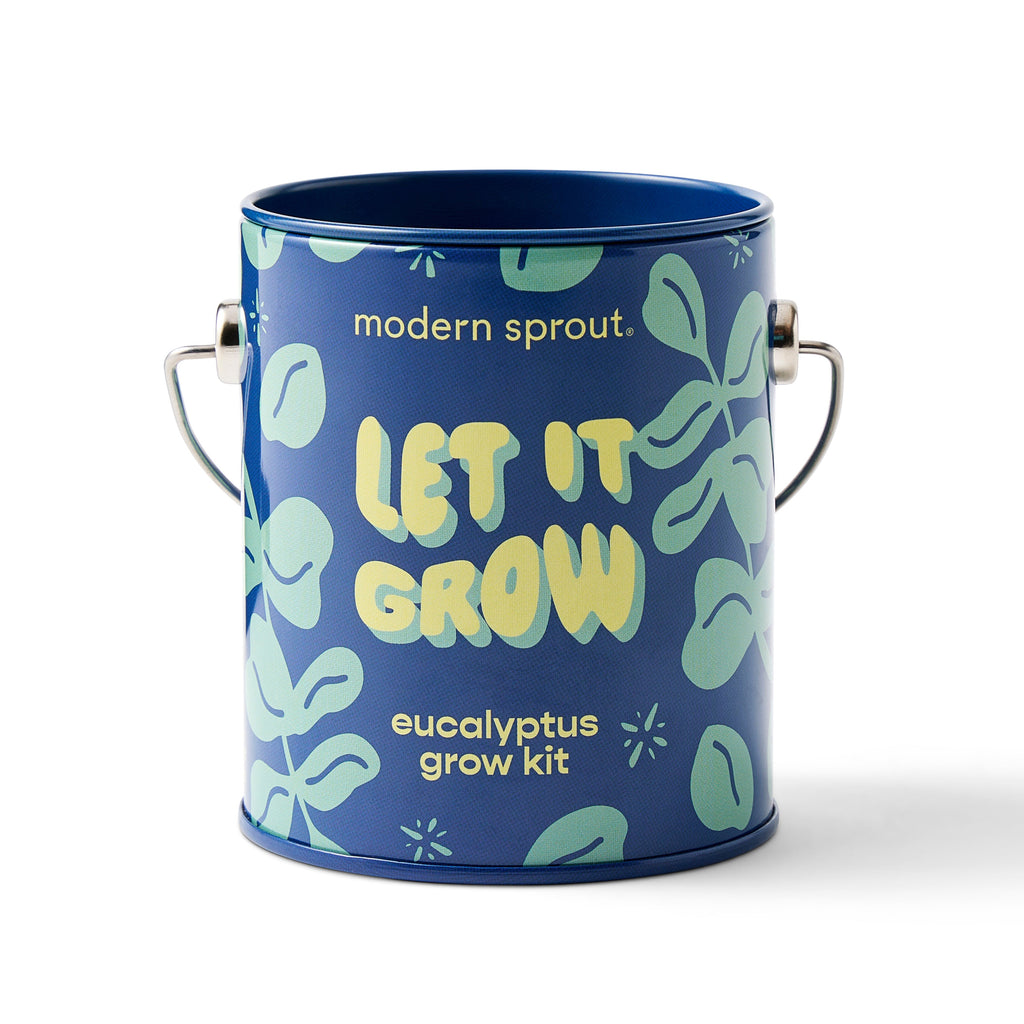 Seasonal Complimentary Colors Grow Kits