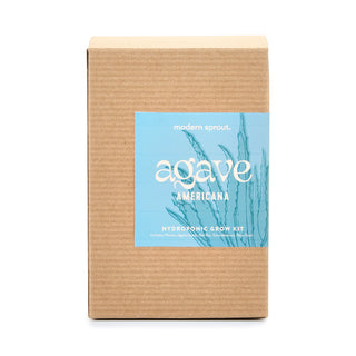 Agave Grow Kit – Smokey Blue Glass Planter