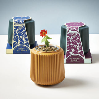 Flower Grow Kits – Fluted Ceramic Planter