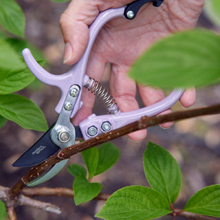 Precision Gardening Shears & Pruners