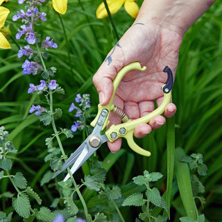 Precision Gardening Shears & Pruners