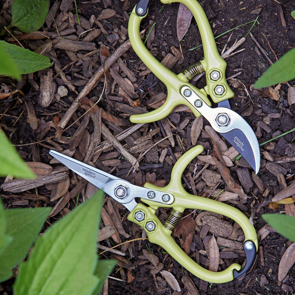 Precision Gardening Shears & Pruners