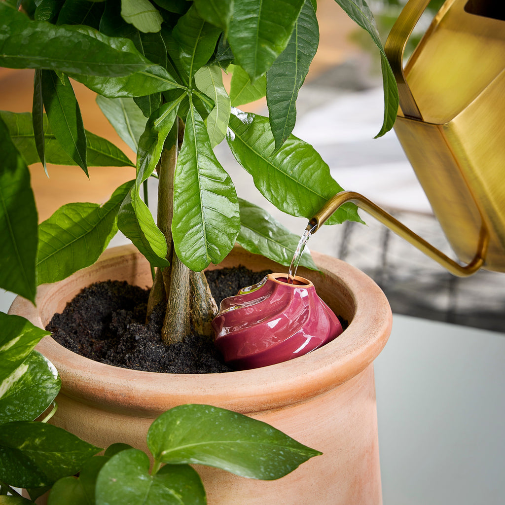 Terracotta Self-Watering Bulbs – 10 oz