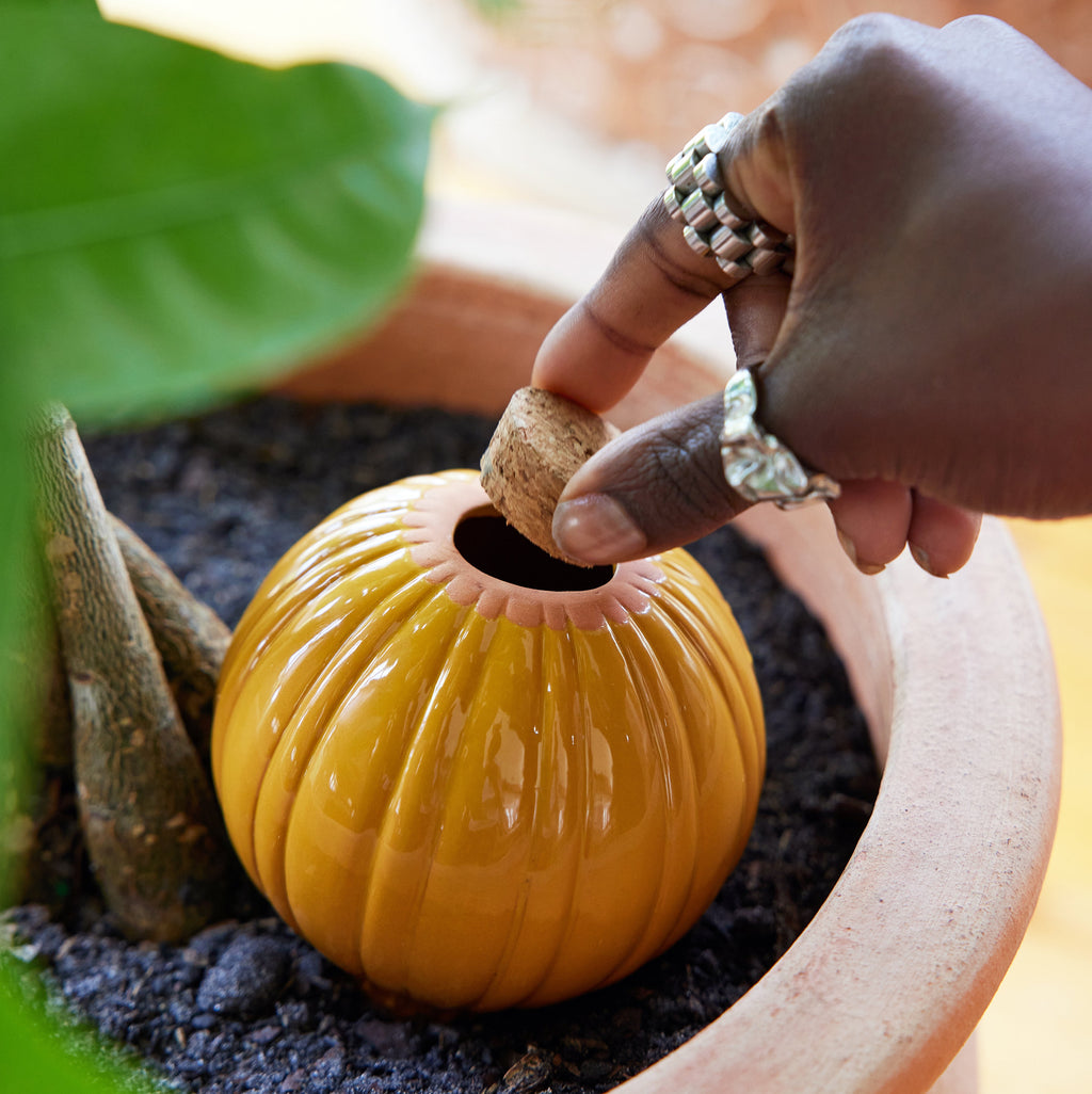 Terracotta Self-Watering Bulbs – 10 oz