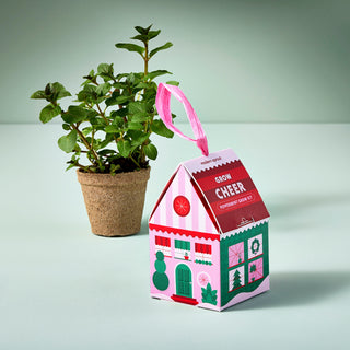 Home Grown Ornament Grow Kit