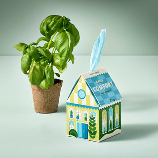 Home Grown Ornament Grow Kit