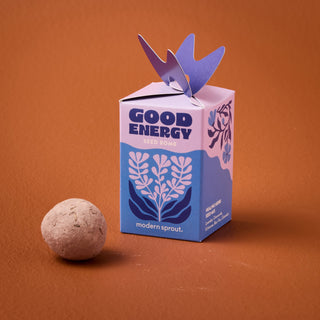 Seed Bombs Grow Kit