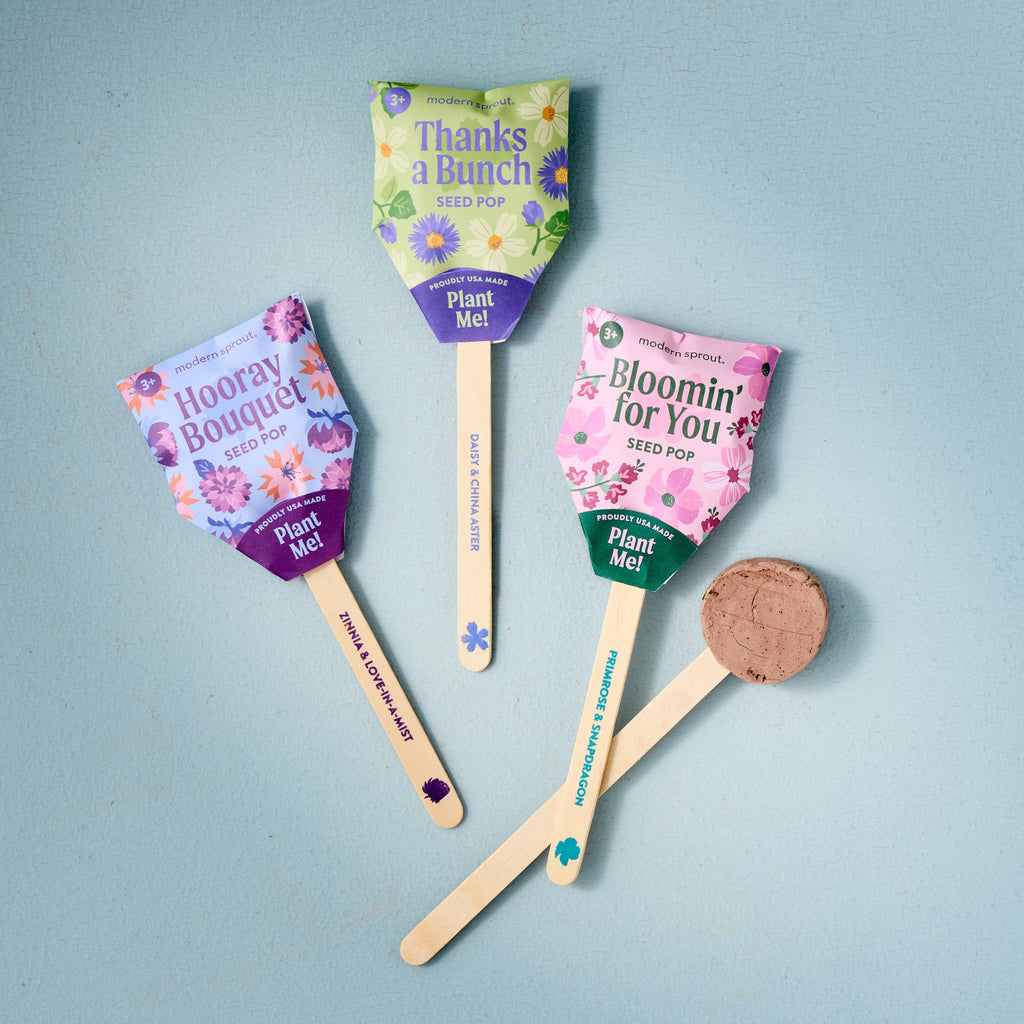 Flower Seed Pops – Growable Wildflower Gift Pops