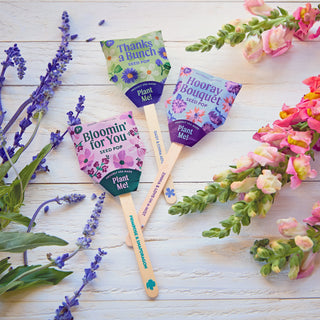 Flower Seed Pops – Growable Wildflower Gift Pops