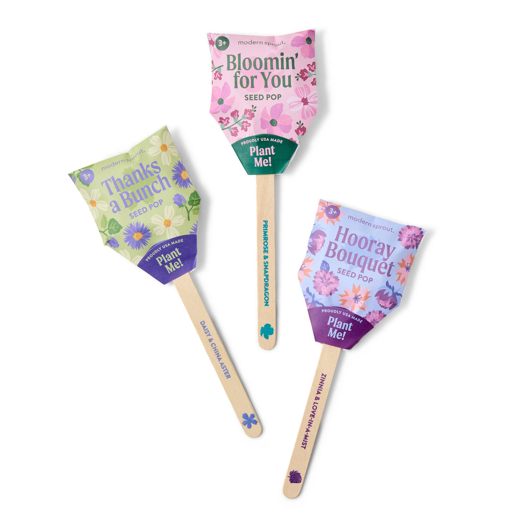 Flower Seed Pops – Growable Wildflower Gift Pops
