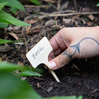 Seed Library Garden Kit